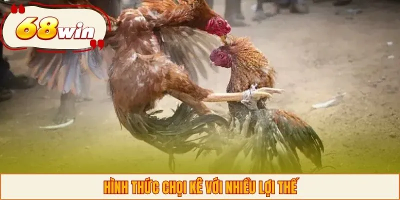 Hình thức chọi kê với nhiều lợi thế